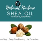 Shea Oil